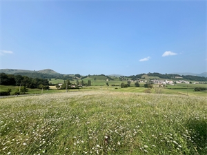 terrain à la vente -   64220  JAXU, surface 1400 m2 vente terrain - APR726127